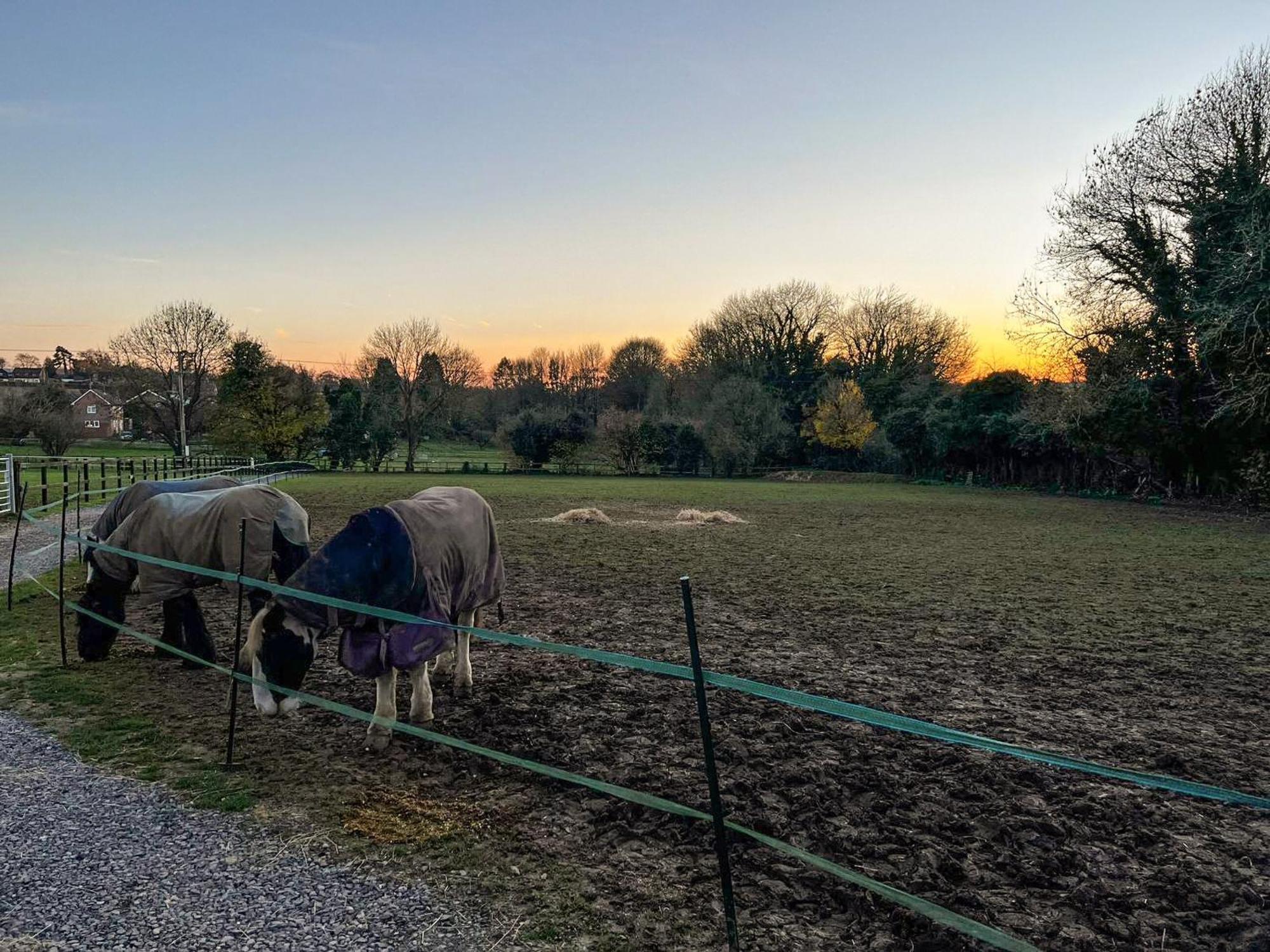 South Downs Lodge Droxford ภายนอก รูปภาพ